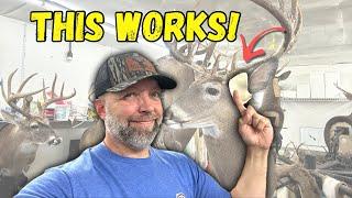 Ear Butts Made Easy! New Tool Shapes Clay in Seconds! ***SUPER EASY*** Whitetail Taxidermy!