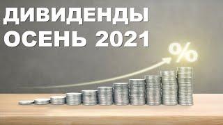 Осенний дивидендный сезон на носу | Российские акции с высокими дивидендами осенью 2021