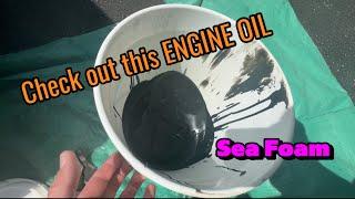 Sea Foam in my Diesel engine oil. Does it make it better or worse? #seafoam #diesel #toyota