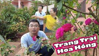 2Q Vlogs||Đưa hoa hồng tới trồng khắp trang trại|| Cuộc Sống Châu Phi