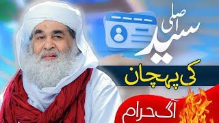 Asal Syed Ki Pahchan | History Of Syed Caste | Asli Syed Kon Hain | Maulana Ilyas Qadri Bayan