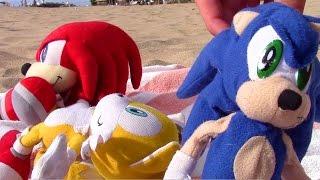 Sonic Plush Adventures-Hawaii Too