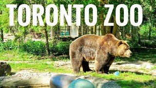 Toronto Zoo Full Tour in 4K | Complete Walkthrough Tour of Toronto Zoo, ONTARIO - CANADA