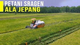 Pakai Mesin Panen Padi Tercanggih Petani Bisa Panen Cepat