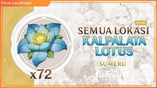 SEMUA LOKASI KALPALATA LOTUS GENSHIN IMPACT | KALPALATA LOTUS LOCATION - NAHIDA DORI MATERIAL