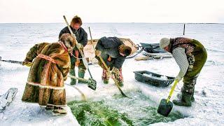 Fishing in the Kara Sea | Polar Stories