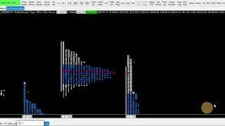 Lesson 2  Conceptualizing Value, Trader Behavior + Using  TPO Profile to Read Orderflow