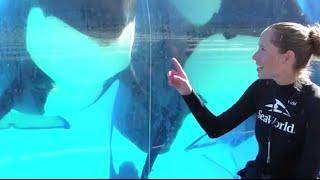 Makani the Chatterbox | SeaWorld San Diego