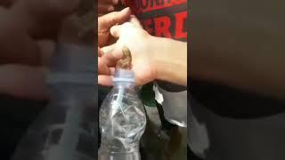 #VIRAL WARGA CIREBON TANGKAP #TUYUL DI MASUKAN KE BOTOL