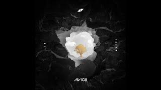 Avicii - Without You (Instrumental)