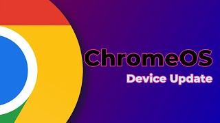 How to Update ChromeOS Witout Any Data Loss 2024