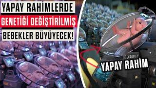 YAPAY RAHİM PROJESİ: ECTOLIFE 2023