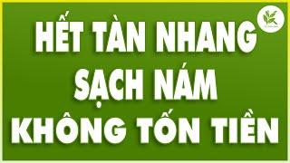 Mẹo Trị NÁM DA - TÀN NHANG - MẮT THÂM QUẦNG Không Tốn Tiền | NÁM LÂU NGÀY Cũng Hết | TCL