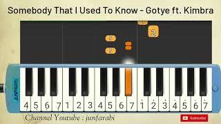 Somebody That I Used To Know | Gotye feat Kimbra | pianika songs