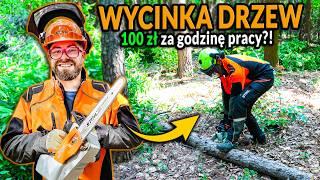 Nawet 100zł za h pracy przy wycince drzew? PRACA DRWALA PRZY WYCINCE | DO ROBOTY