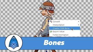 Lesson 7: Bones