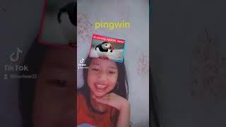 muka rani mirip pingwin