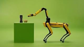 Get Crackin’ with Spot from Boston Dynamics