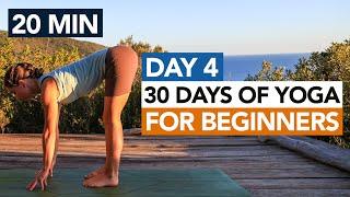 20 Min Full Body Beginner Yoga Flow (Day 4) 30 Days of Yoga For Beginners