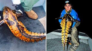 UN PESCADOR AFORTUNADO ATRAPÓ ALGO INCREÍBLE