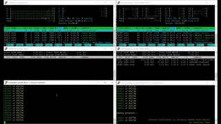 Wallet sync speed comparison for WrkzCoin between Hetzner CX51 vs Scaleway ARM64-16GB