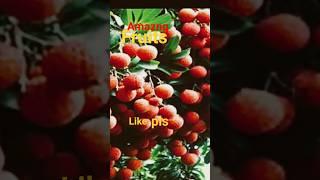 Fruits symphylans #shorts# #shortsvideo |