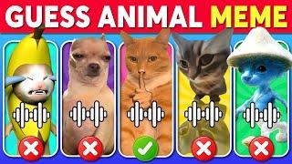 Guess The Meme SONG| Chipi Chapa Cat, Smurt Cat, Banana Cat, Nose Wey, Mewing Cat  Animal Edition