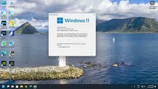 Windows 11 22H2 now officially Released (Stable)[ How to install Without TPM unsupported hardware]