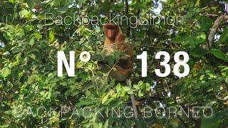 Ab in den Dschungel ! Borneo Malaysia / Weltreise Vlog / Backpacking #138