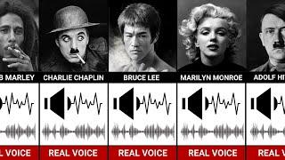 Real Voice of Historical Figures