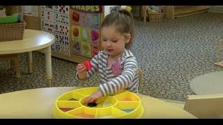 Cardinality: Supporting Mathematical Development in Young Children