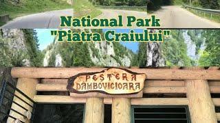 ROMANIANatureTrips |National Park "Piatra Craiului"|Trips to discover nature #2