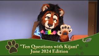 Ten Questions with Kijani (2024) - Fursuiting, Lion Fursona, Kenya, Mascots, Anthrocon!