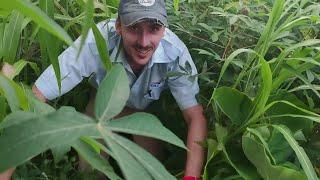 What is a Bush Pilot? - Missionary Bush Pilot, Backcountry182, CC Pocock