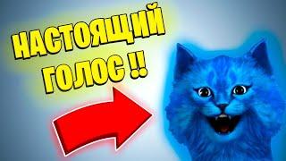 настоящий голос котёнка лайка!