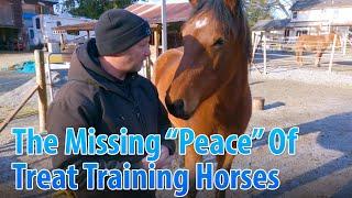 The Missing "Peace" Of Treat Training Horses