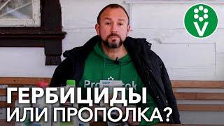 Как БОРОТЬСЯ С СОРНЯКАМИ? Вся правда о ГЕРБИЦИДАХ