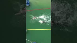 Photo finish in both 25km open water races at the 2022 FINA World Aquatics Championships