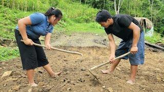 Harvest bamboo shoots - Diging the ground for new houses