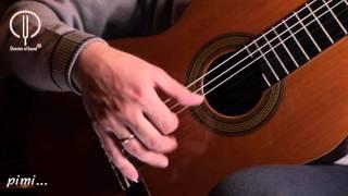 Classical guitar playing technique. Tremolo. [Dmitry Nilov]