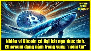 Nhiều ví Bitcoin cổ đại bất ngờ thức tỉnh, Ethereum đang nằm trong vùng “niềm tin”