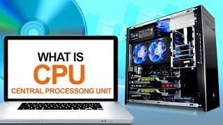 What is CPU | Learn Computer & Networking Basics for Beginners | Computer Technology Course