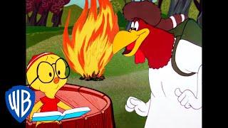 Looney Tunes | Camping with Foghorn Leghorn | Classic Cartoon | WB Kids