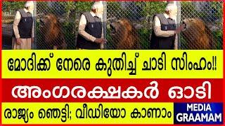 മോദിക്ക് നേരെ കുതിച്ച് ചാടി സിംഹം!!  | അംഗരക്ഷകര്‍ ഓടി  രാജ്യം ഞെട്ടി; വീഡിയോ കാണാം |