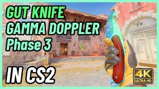  CS2 Gut Knife Gamma Doppler (Phase 3) | CS2 Knife In-Game Showcase [4K]