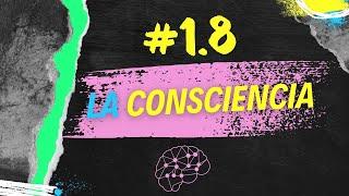 Neuro Psico Cosas 1.8 La consciencia