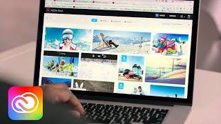 Access Adobe Stock from inside your Creative Cloud Apps | Adobe Creative Cloud
