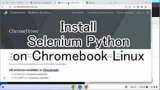 Install Selenium Python on Chromebook Linux