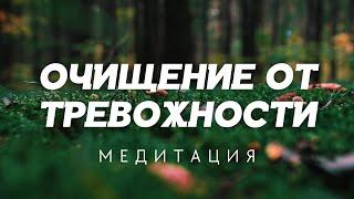 Почувствуйте успокоение и гармонию с медитацией на очищение от тревоги  @alexanderbaranovsky