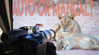 Wildlife Photography: Manual vs. Auto Focus